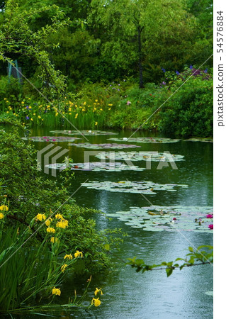 莫奈的花園 莫奈的花園 54576884