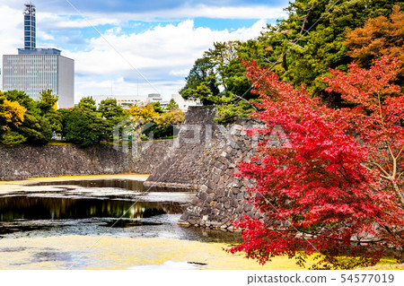 Autumn leaves of the autumn leaves seen from Tokyo Imperial Palace Autumn leaves of the autumn leaves seen from Tokyo Imperial Palace 54577019
