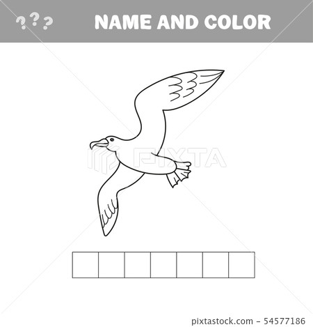 Educational game coloring book seagull bird vector illustration Educational game coloring book seagull bird vector illustration 54577186