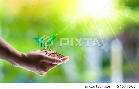 Saving money for growing business and future conce 54577562