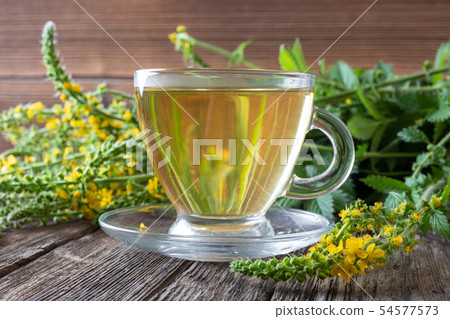 A cup of agrimony tea with blooming agrimony plant A cup of agrimony tea with blooming agrimony plant 54577573