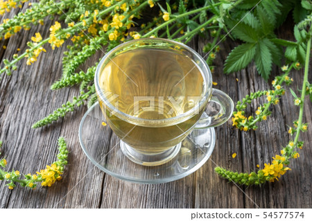 A cup of agrimony tea with blooming agrimony plant 54577574