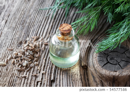 A bottle of dill seed oil with dill seeds A bottle of dill seed oil with dill seeds 54577586