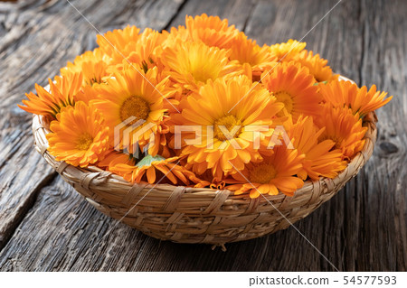 Fresh calendula flowers in a wicker basket 54577593