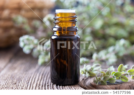 A bottle of marjoram essential oil A bottle of marjoram essential oil 54577596