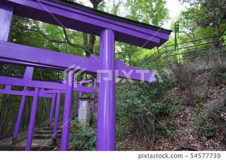 Orihime Shrine Osaka Shichitori Torii Orihime Shrine Osaka Shichitori Torii 54577739