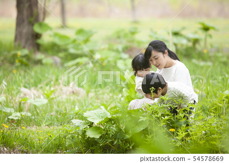 Parents and children playing in nature Parents and children playing in nature 54578669