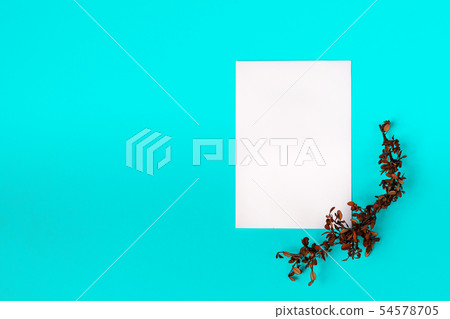 White clean sheet of paper with dry twig White clean sheet of paper with dry twig 54578705