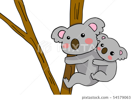 考拉父母和孩子 54579063