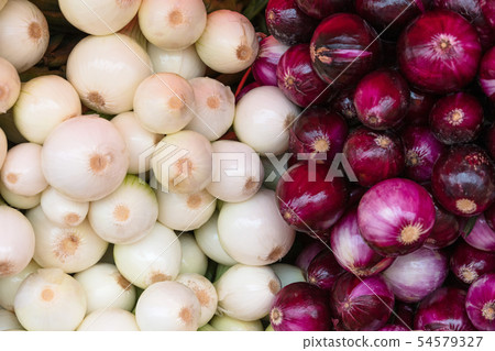 white and red onions at farmers market 54579327