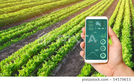 A hand is holding a smartphone with infographics A hand is holding a smartphone with infographics 54579653