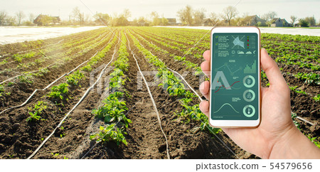 A hand is holding a smartphone with irrigation 54579656