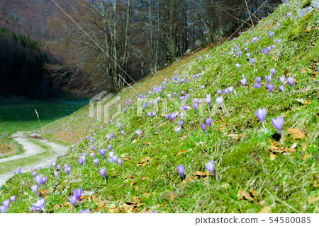 Italian Mountain Landscape Italian Mountain Landscape 54580085