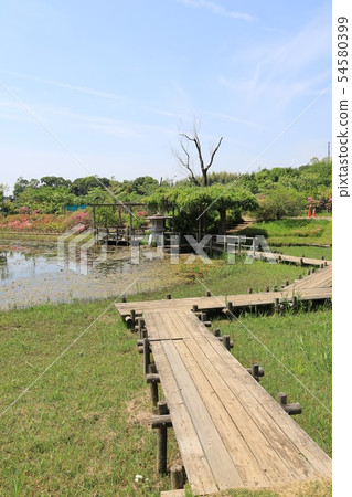 Landscape of Shimizu Park, Noda City, Chiba Prefecture 54580399