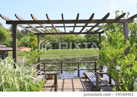 Landscape of Shimizu Park, Noda City, Chiba Prefecture Landscape of Shimizu Park, Noda City, Chiba Prefecture 54580401