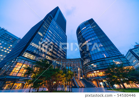 Tokyo cityscape in Japan 54580446