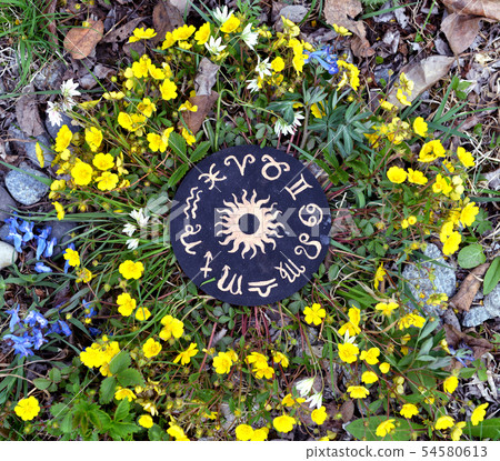 Wooden circle with zodiac signs chart  54580613