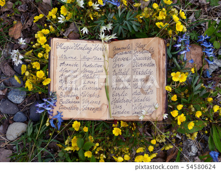 Open witch diary book with healing herbs Open witch diary book with healing herbs 54580624