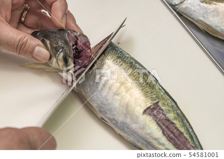 [烤鯖魚] 54581001