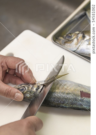 [Grilled mackerel] 54581002