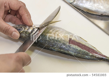 [Grilled mackerel] 54581003