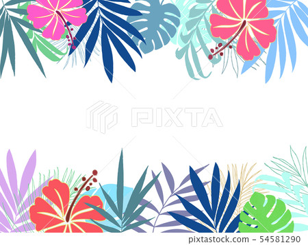 熱帶植物 54581290