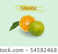 Orange cut in half on a green background 54582468