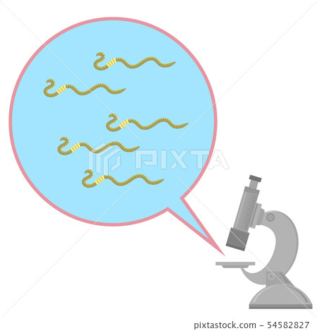 Worms and Microscope Dangerous Bad Parasites. Ascarid, Helminth Pinworm Threadworm 54582827