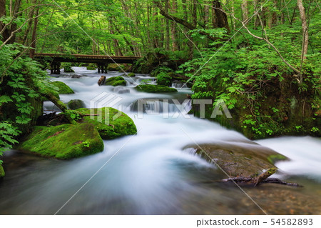 Oirase stream 54582893