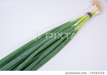大蔥 54583529