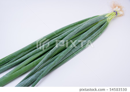 大蔥 大蔥 54583530