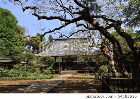 Gold Riding Hall in Noda City, Chiba Prefecture 54583610