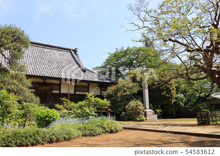 Gold Riding Hall in Noda City, Chiba Prefecture 54583612