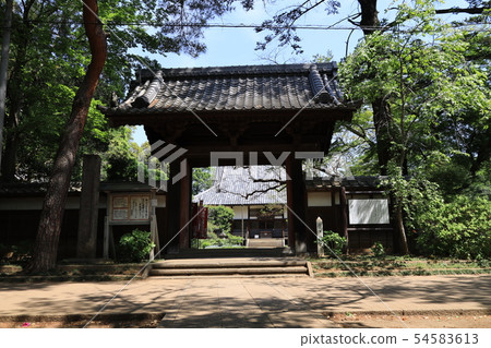 Gold Riding Hall in Noda City, Chiba Prefecture 54583613