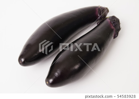 Eggplant 54583928