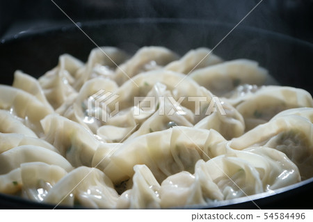 手工製作的餃子 54584496