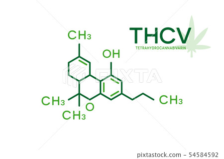 THCV molecular formula. Tetrahydrocannabivarin molecule structure on white background. THCV molecular formula. Tetrahydrocannabivarin molecule structure on white background. 54584592
