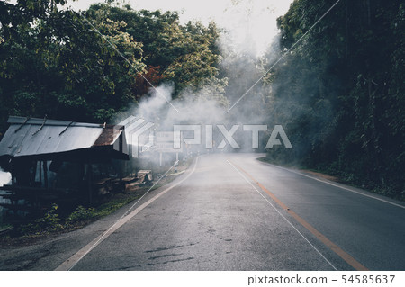 Mountain roads and trees in the rainy season Mountain roads and trees in the rainy season 54585637