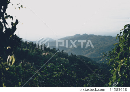 Mountain and village views and fields in the rainy 54585638