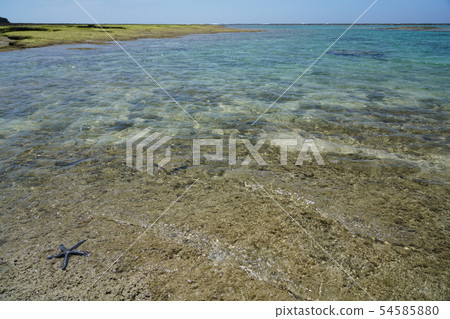 沖繩美麗的海灘(夏季) 沖繩美麗的海灘(夏季) 54585880