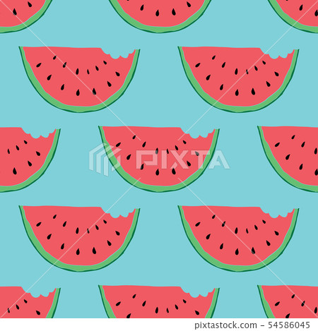 Watermelon Seamless Pattern hand drawn. Vector Watermelon Seamless Pattern hand drawn. Vector 54586045