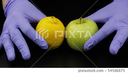 Doctor's hands with apple and lemon on black Doctor's hands with apple and lemon on black 54586875