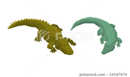 Crocodile vector cartoon crocodilian character of green alligator carnivore illustration animalistic Crocodile vector cartoon crocodilian character of green alligator carnivore illustration animalistic 54587074