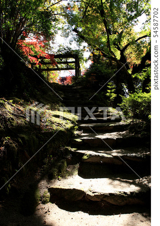 Autumn leaves spot of Saga Prefecture Kanzaki Autumn leaves spot of Saga Prefecture Kanzaki 54587702