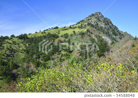 我希望看到森林 我希望看到森林 54588048