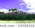 Violet verbena flowers on blurred background and m 54588168