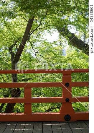 Kitano Tenmangu Shrine, fresh green of Odoi, balustrade of vermilion 54588601
