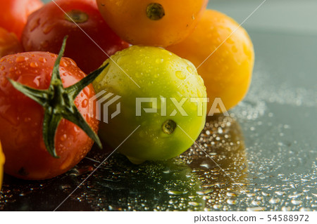 Tomato Queen, also known as Cherry tomato, is scie Tomato Queen, also known as Cherry tomato, is scie 54588972