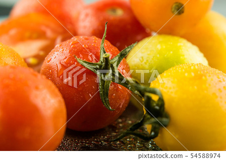Tomato Queen, also known as Cherry tomato, is scie Tomato Queen, also known as Cherry tomato, is scie 54588974