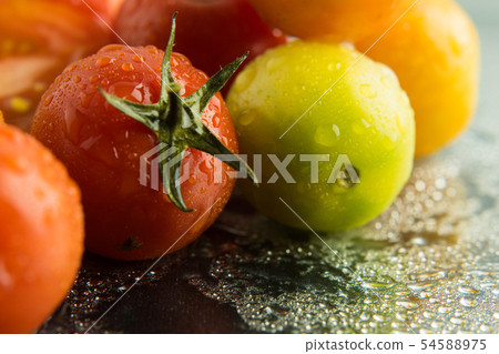 Tomato Queen, also known as Cherry tomato, is scie 54588975